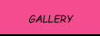 pet carer galley